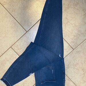 SPANX Women's Blue Jeggings | Size 3x